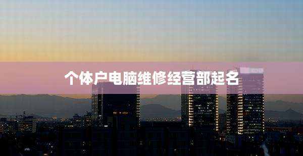 个体户电脑维修经营部起名