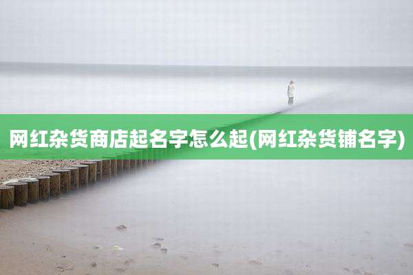 网红杂货商店起名字怎么起(网红杂货铺名字)
