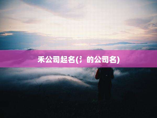 禾公司起名(氵的公司名)