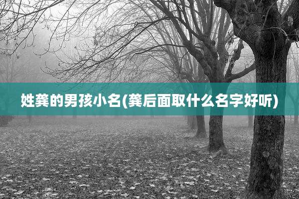 姓龚的男孩小名(龚后面取什么名字好听)
