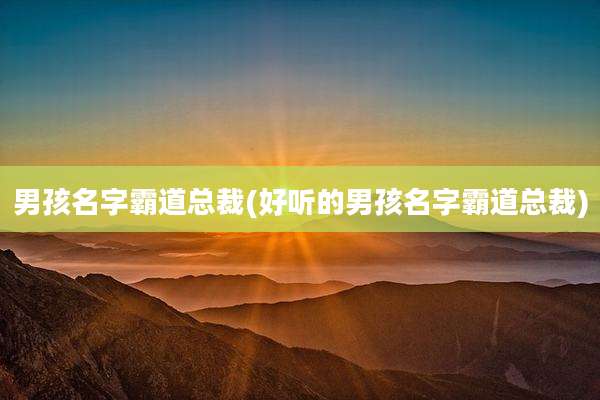 男孩名字霸道总裁(好听的男孩名字霸道总裁)