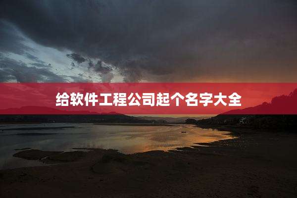 给软件工程公司起个名字大全