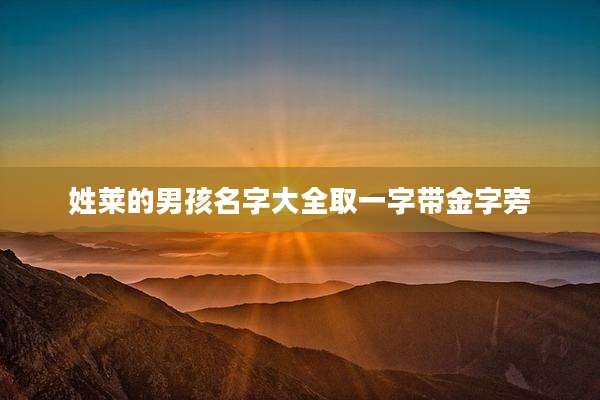 姓莱的男孩名字大全取一字带金字旁