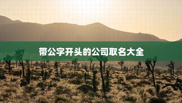 带公字开头的公司取名大全