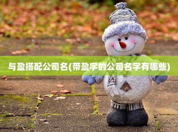 与盈搭配公司名(带盈字的公司名字有哪些)
