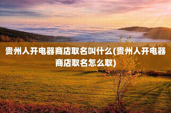 贵州人开电器商店取名叫什么(贵州人开电器商店取名怎么取)