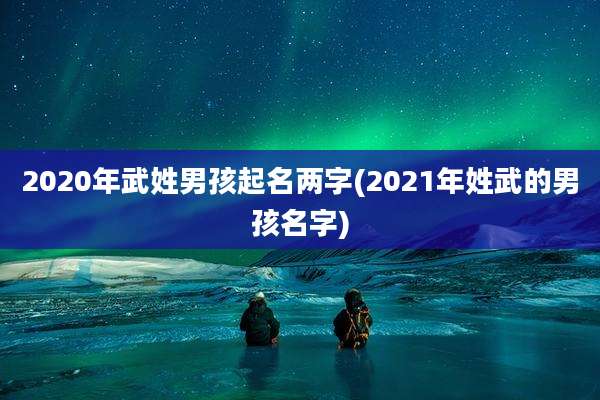 2020年武姓男孩起名两字(2021年姓武的男孩名字)