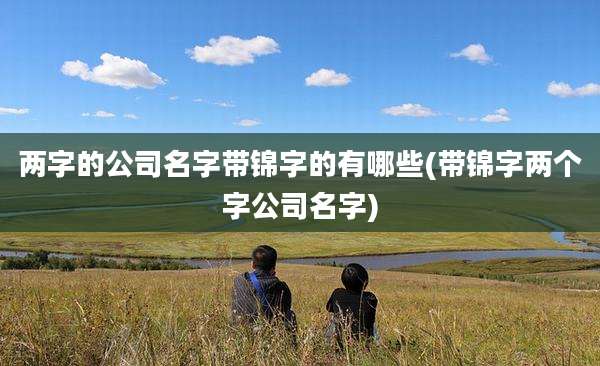 两字的公司名字带锦字的有哪些(带锦字两个字公司名字)
