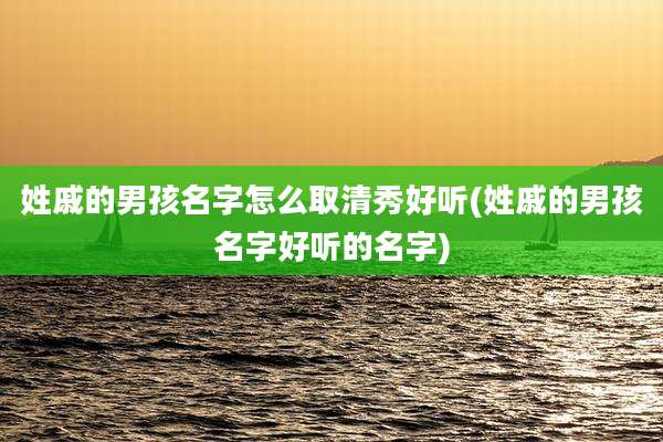 姓戚的男孩名字怎么取清秀好听(姓戚的男孩名字好听的名字)