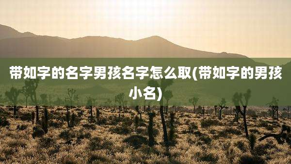 带如字的名字男孩名字怎么取(带如字的男孩小名)