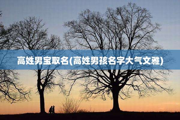 高姓男宝取名(高姓男孩名字大气文雅)