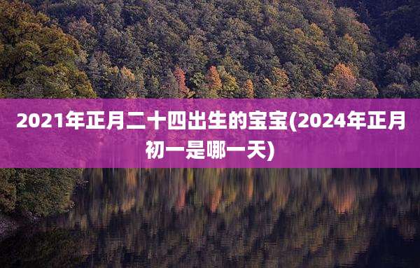2021年正月二十四出生的宝宝(2024年正月初一是哪一天)