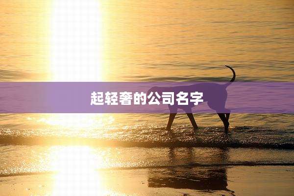 起轻奢的公司名字