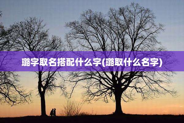 璐字取名搭配什么字(璐取什么名字)