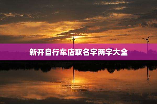 新开自行车店取名字两字大全