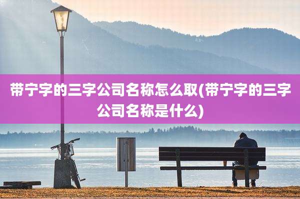 带宁字的三字公司名称怎么取(带宁字的三字公司名称是什么)