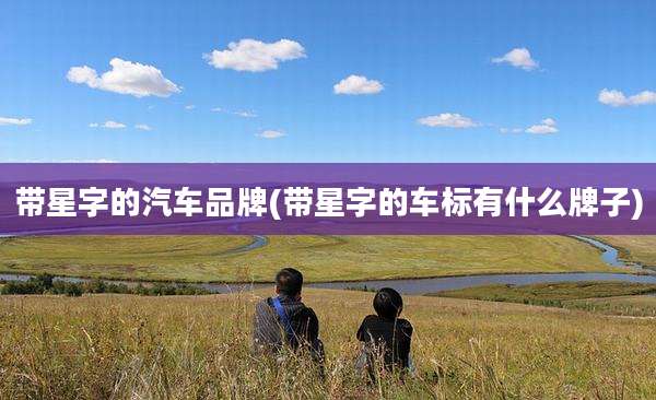 带星字的汽车品牌(带星字的车标有什么牌子)