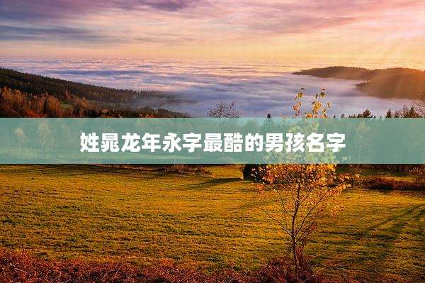 姓晁龙年永字最酷的男孩名字
