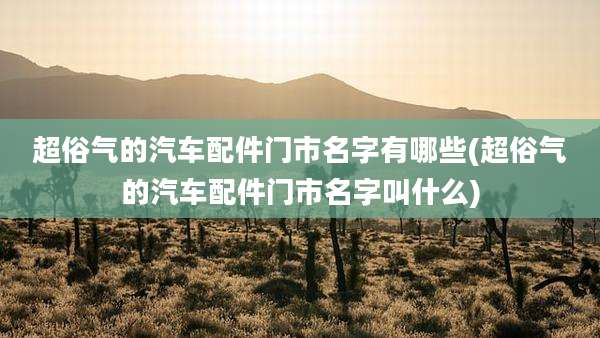 超俗气的汽车配件门市名字有哪些(超俗气的汽车配件门市名字叫什么)