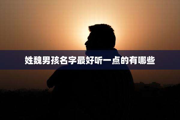 姓魏男孩名字最好听一点的有哪些