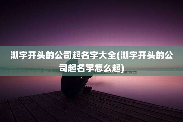 潮字开头的公司起名字大全(潮字开头的公司起名字怎么起)