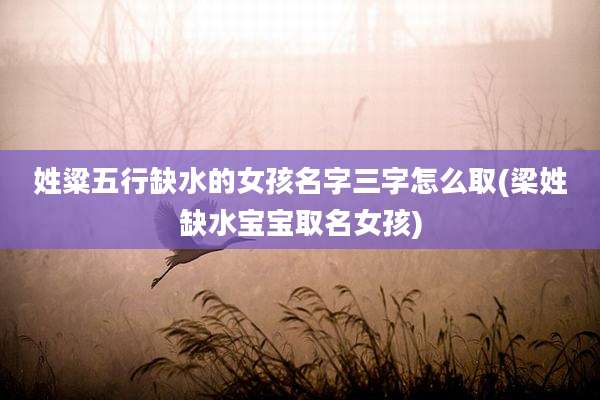 姓粱五行缺水的女孩名字三字怎么取(梁姓缺水宝宝取名女孩)