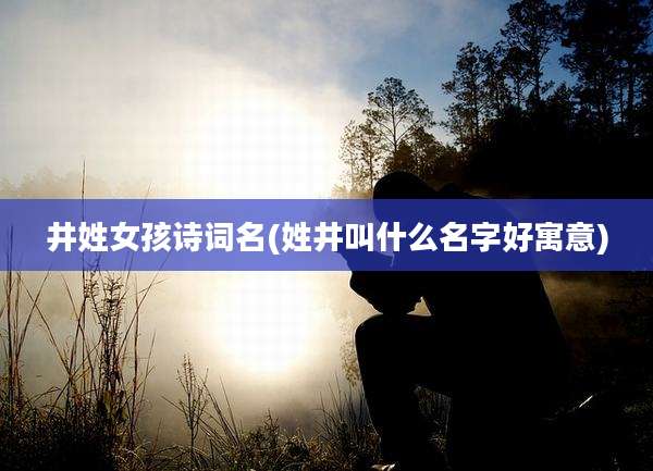 井姓女孩诗词名(姓井叫什么名字好寓意)