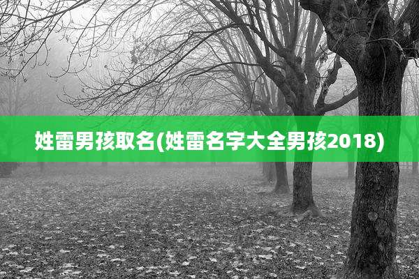姓雷男孩取名(姓雷名字大全男孩2018)
