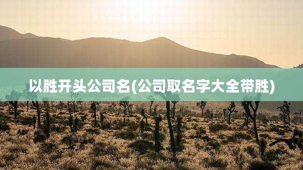 以胜开头公司名(公司取名字大全带胜)
