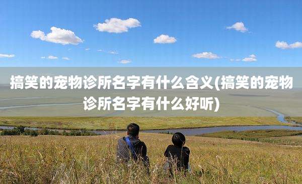 搞笑的宠物诊所名字有什么含义(搞笑的宠物诊所名字有什么好听)