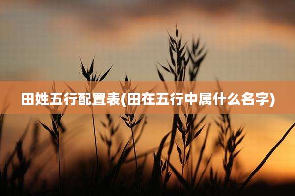 田姓五行配置表(田在五行中属什么名字)