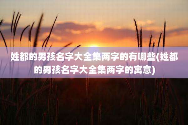 姓都的男孩名字大全集两字的有哪些(姓都的男孩名字大全集两字的寓意)