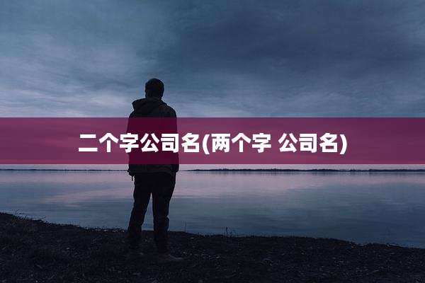 二个字公司名(两个字 公司名)