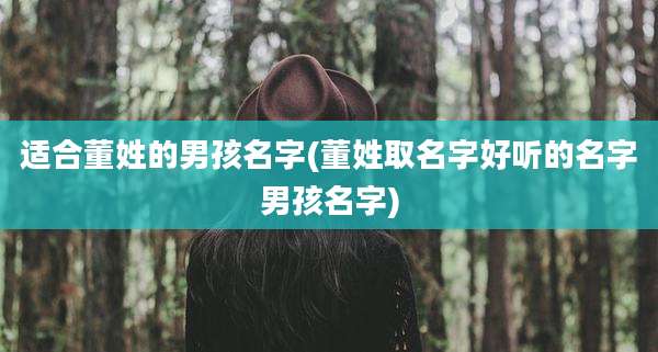 适合董姓的男孩名字(董姓取名字好听的名字男孩名字)
