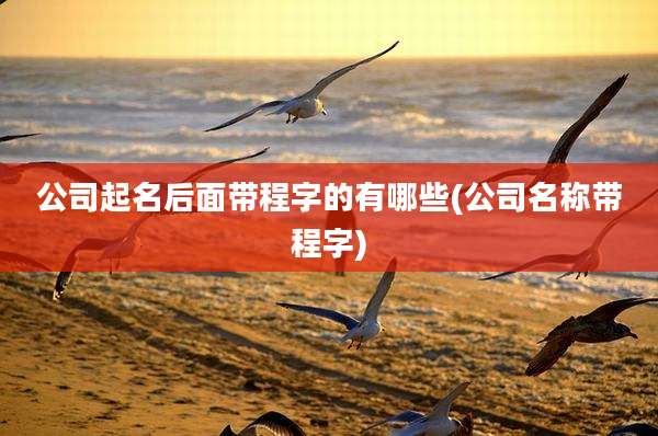 公司起名后面带程字的有哪些(公司名称带程字)