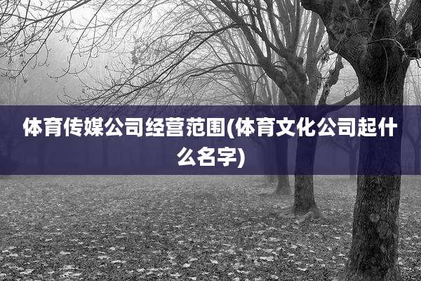 体育传媒公司经营范围(体育文化公司起什么名字)