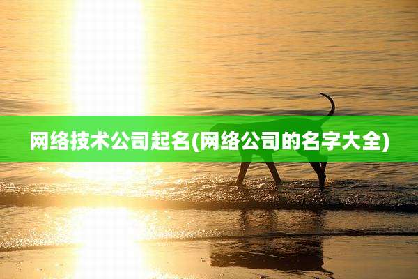 网络技术公司起名(网络公司的名字大全)