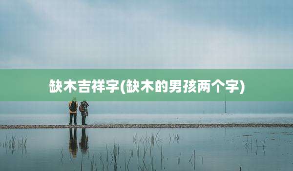 缺木吉祥字(缺木的男孩两个字)
