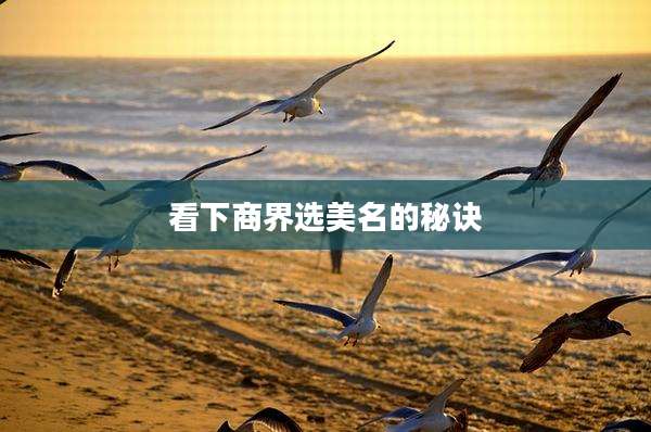 看下商界选美名的秘诀