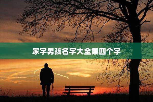家字男孩名字大全集四个字