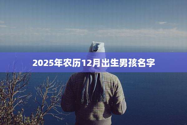 2025年农历12月出生男孩名字