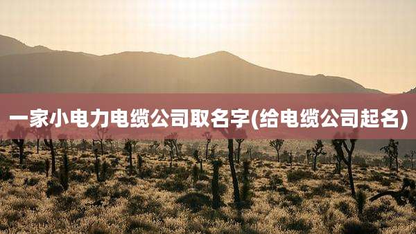 一家小电力电缆公司取名字(给电缆公司起名)