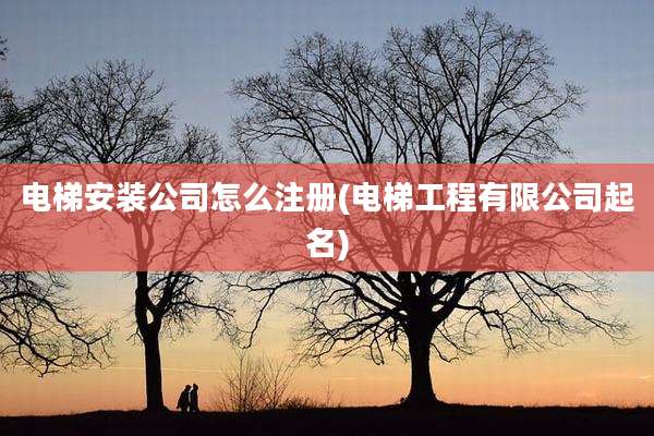 电梯安装公司怎么注册(电梯工程有限公司起名)