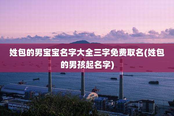 姓包的男宝宝名字大全三字免费取名(姓包的男孩起名字)