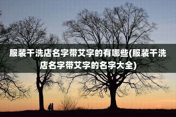 服装干洗店名字带艾字的有哪些(服装干洗店名字带艾字的名字大全)