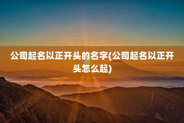 公司起名以正开头的名字(公司起名以正开头怎么起)