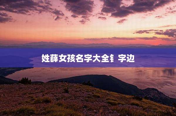 姓薛女孩名字大全钅字边