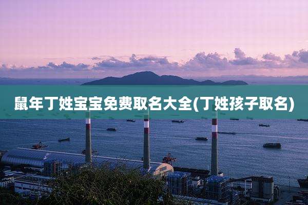 鼠年丁姓宝宝免费取名大全(丁姓孩子取名)
