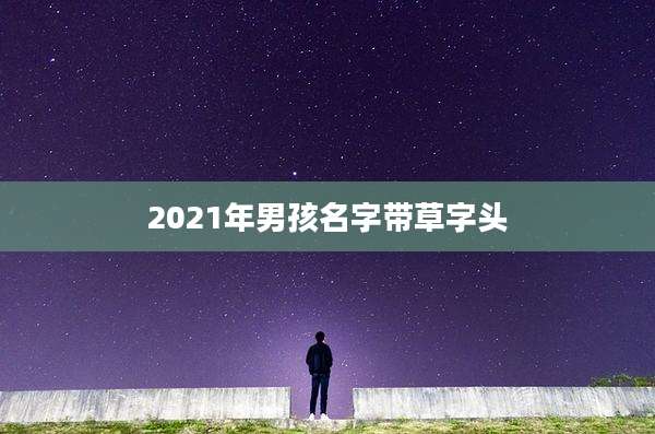 2021年男孩名字带草字头