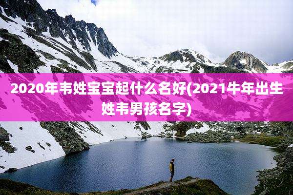 2020年韦姓宝宝起什么名好(2021牛年出生姓韦男孩名字)